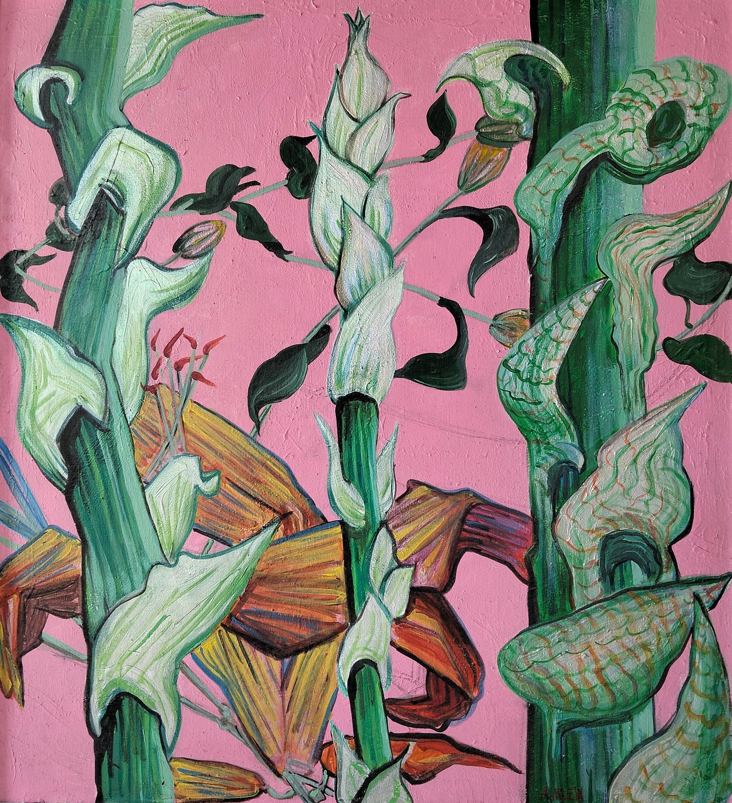 Flowers & Succulents 2