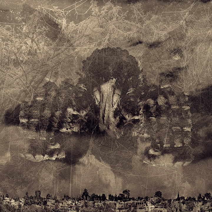 Flying through Frozen Spiderwebs over San Miguel