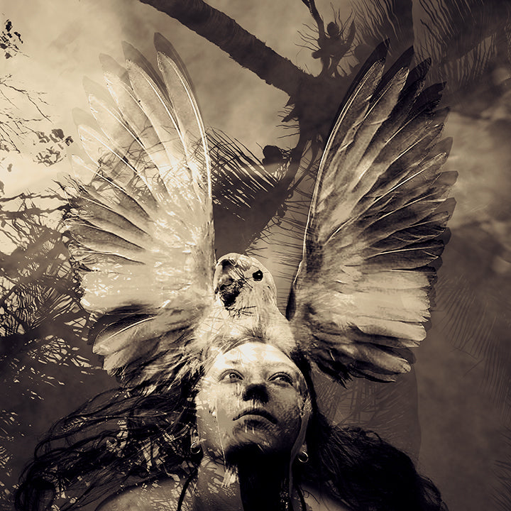 Gliding with Bird in Troncones