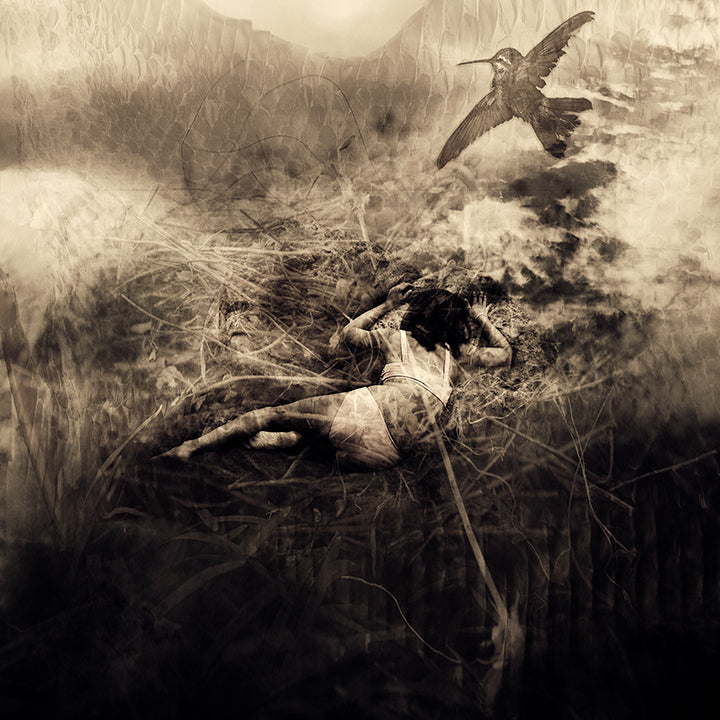 Rattlesnakes & Hummingbirds