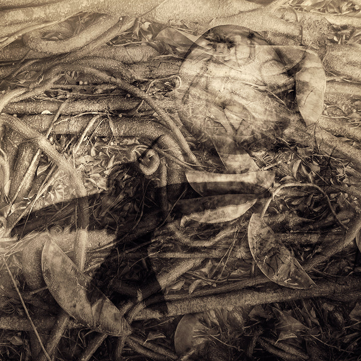 Trapped in Egg Surrounded by Roots