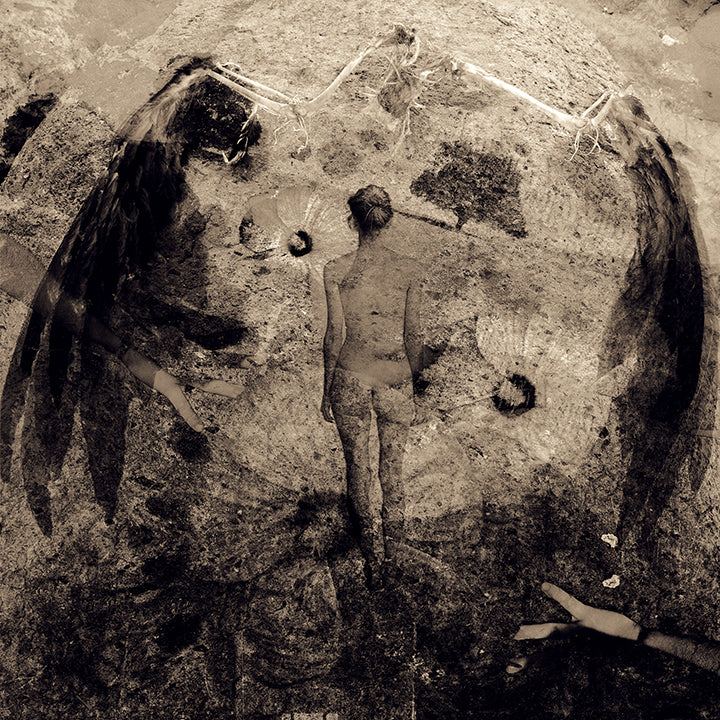 Walking Through Flowers and Rotting Wings