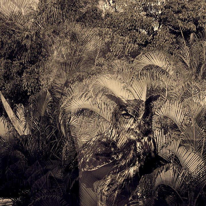 Walking through Jungle with Falling Houses