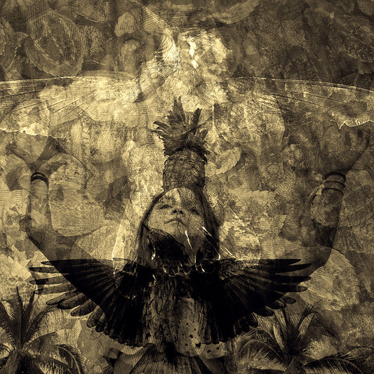 Balancing Pineapple, Turtles and Wings